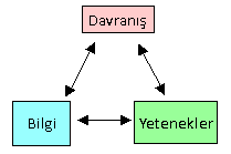 Kolaylaştırıcı rolü