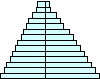 Pirámide de edad