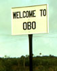 Why Obo