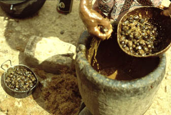 Extracting the red oil from palm kernels