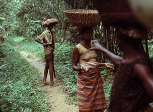 Campesinos en una plantación de abe