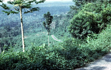 Vista de las tierras bajas al sur de las montañas Kwawu