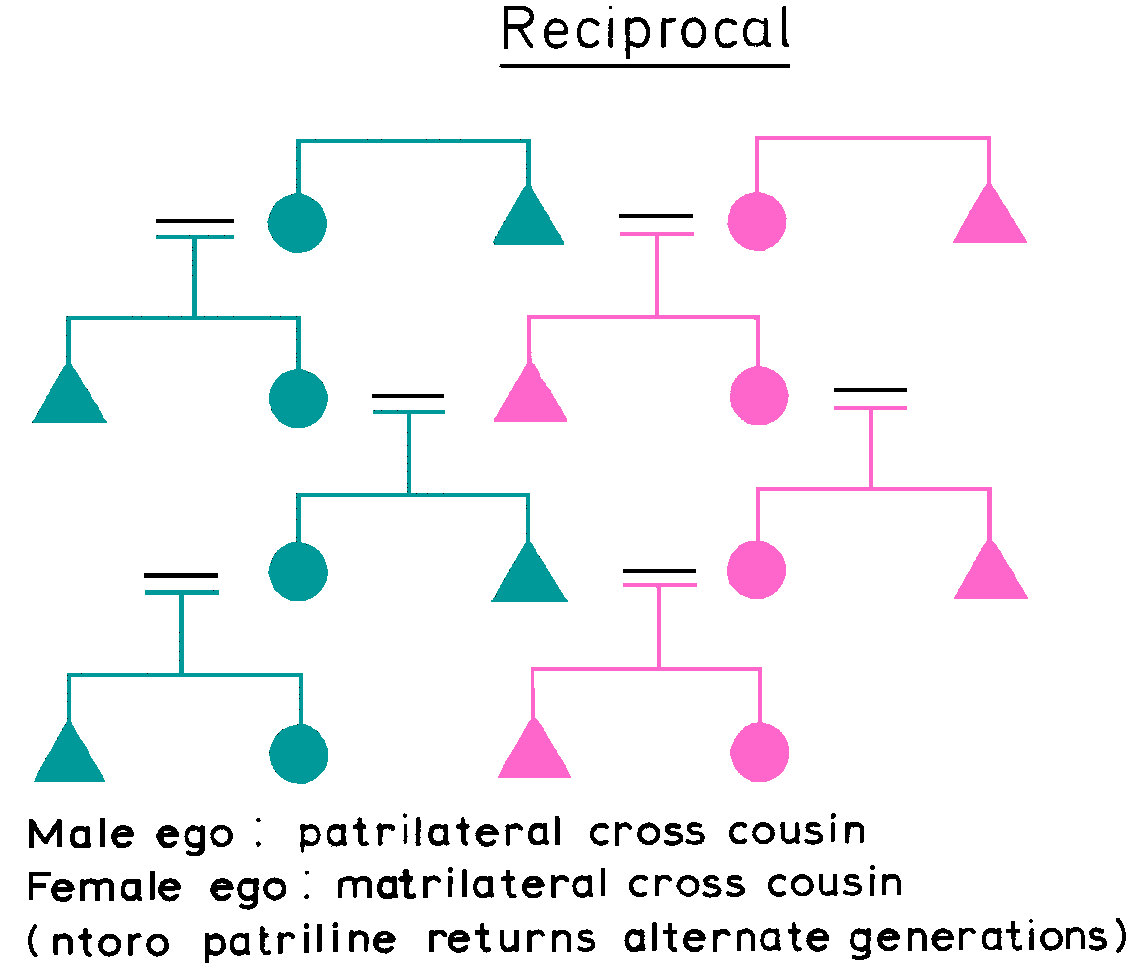 Reciprocal Cross Cousin Marriage